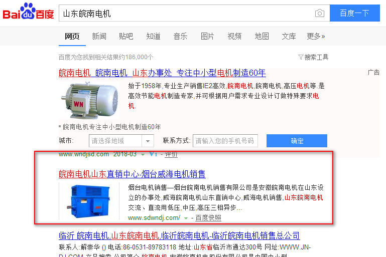 山東皖南電機案例智聯(lián)網絡公司